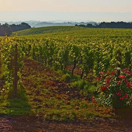 Agriturismo Fattoria Il Piano - Appartamento Focolare - San Gimignano Exterior foto