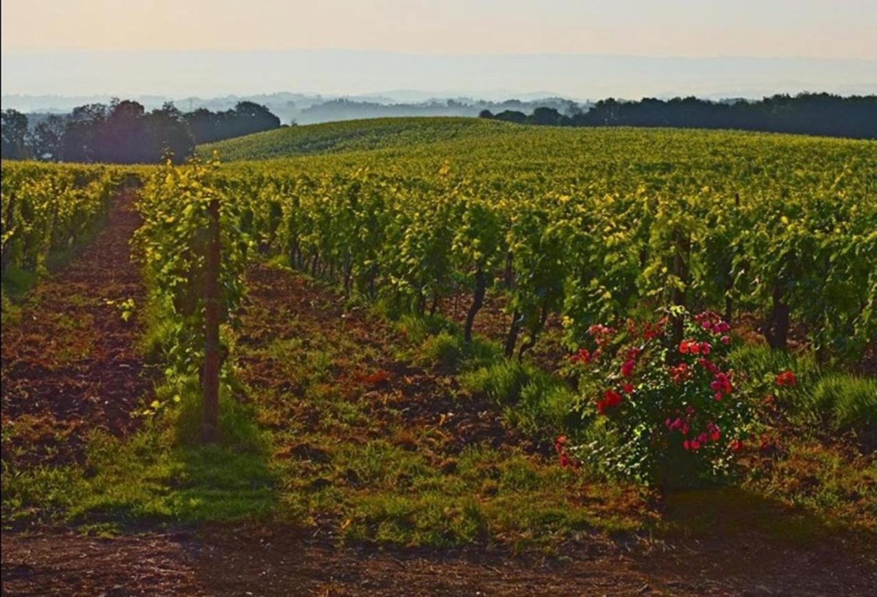 Agriturismo Fattoria Il Piano - Appartamento Focolare - San Gimignano Exterior foto