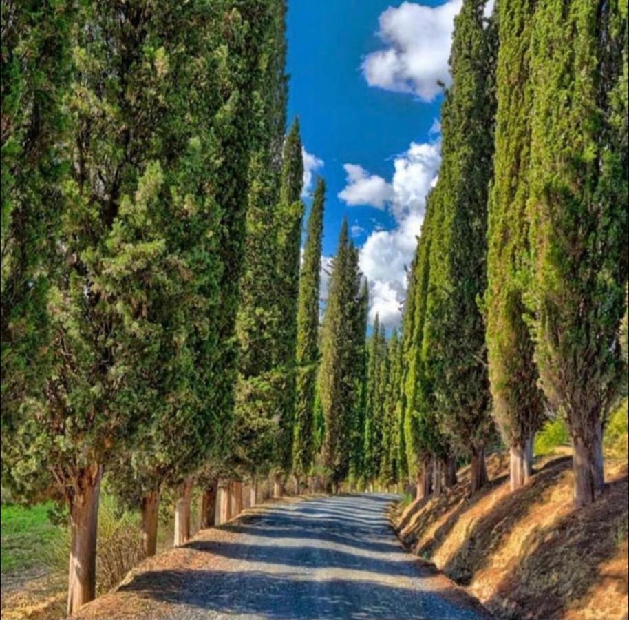 Agriturismo Fattoria Il Piano - Appartamento Focolare - San Gimignano Exterior foto