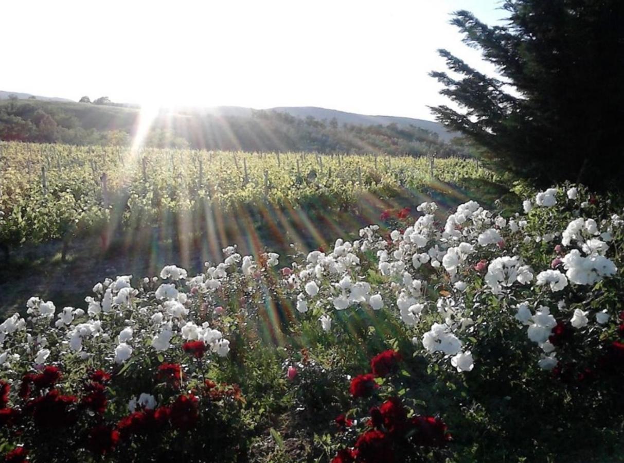 Agriturismo Fattoria Il Piano - Appartamento Focolare - San Gimignano Exterior foto