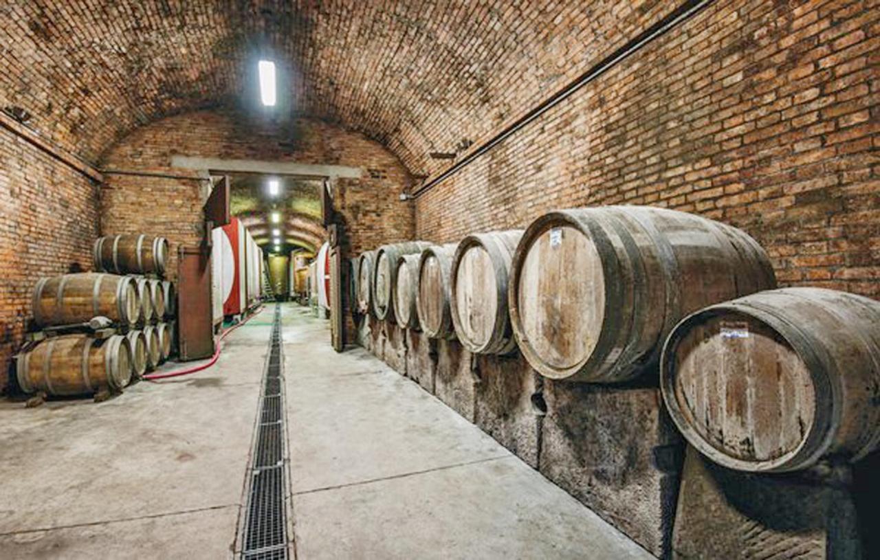 Agriturismo Fattoria Il Piano - Appartamento Focolare - San Gimignano Exterior foto